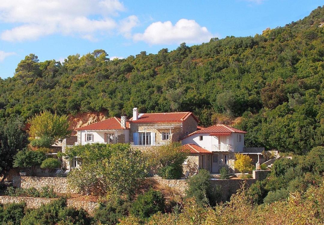 Lithea Villas And Studios By The Sea Agios Petros  Buitenkant foto