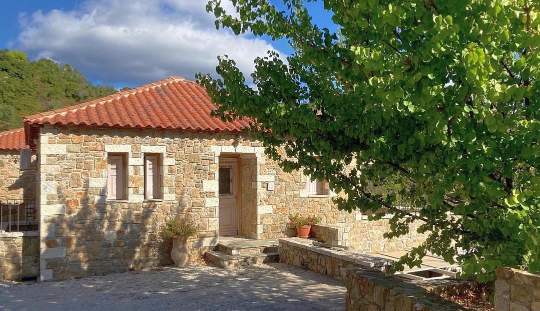 Lithea Villas And Studios By The Sea Agios Petros  Buitenkant foto