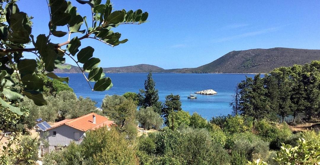 Lithea Villas And Studios By The Sea Agios Petros  Buitenkant foto