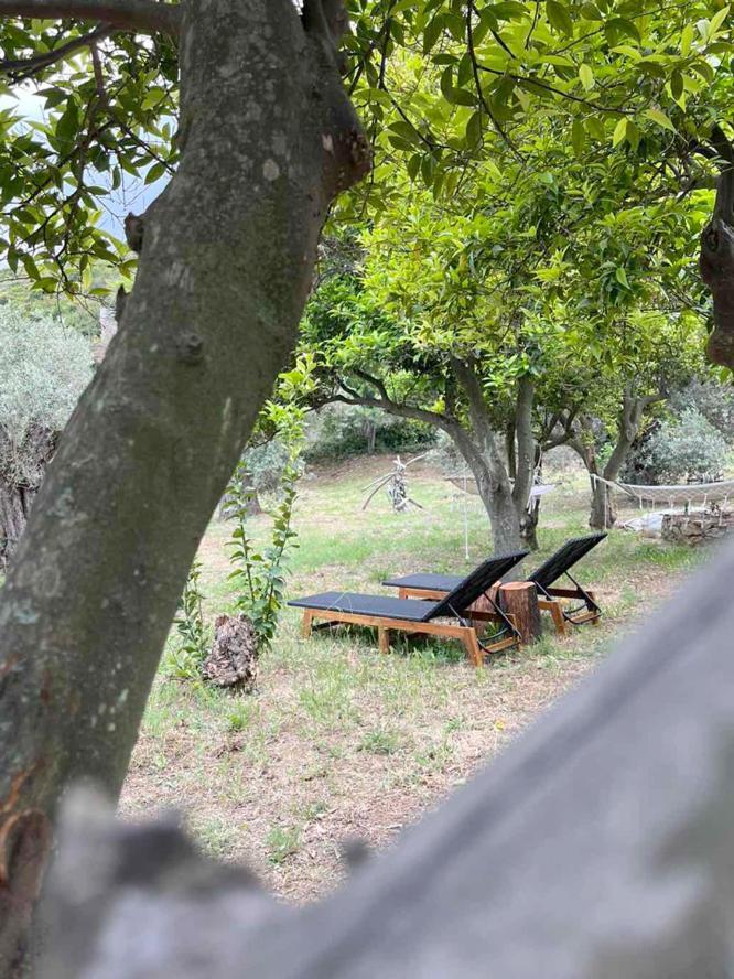 Lithea Villas And Studios By The Sea Agios Petros  Buitenkant foto