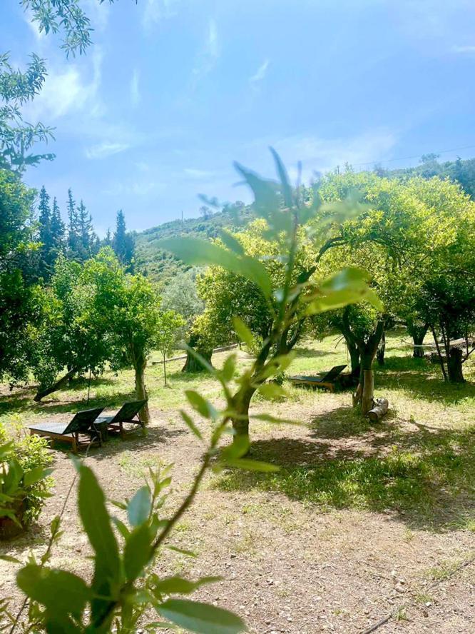 Lithea Villas And Studios By The Sea Agios Petros  Buitenkant foto