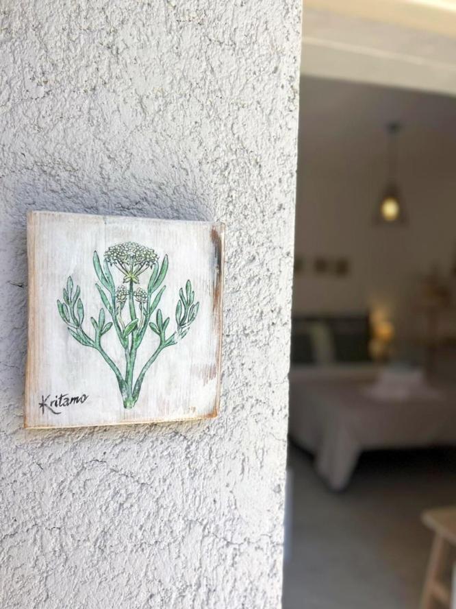 Lithea Villas And Studios By The Sea Agios Petros  Buitenkant foto