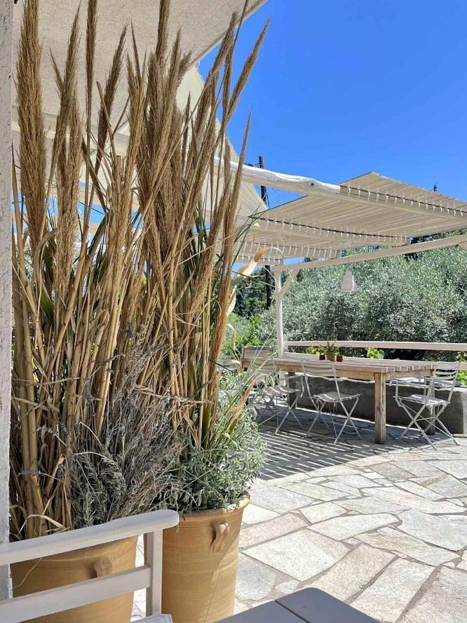 Lithea Villas And Studios By The Sea Agios Petros  Buitenkant foto