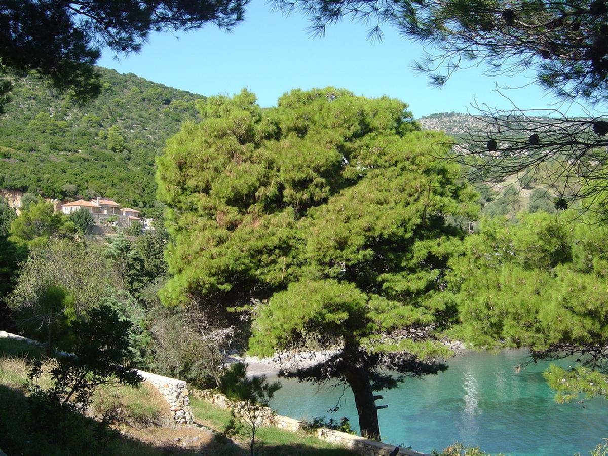 Lithea Villas And Studios By The Sea Agios Petros  Buitenkant foto